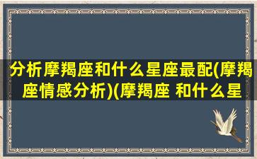 分析摩羯座和什么星座最配(摩羯座情感分析)(摩羯座 和什么星座最配)